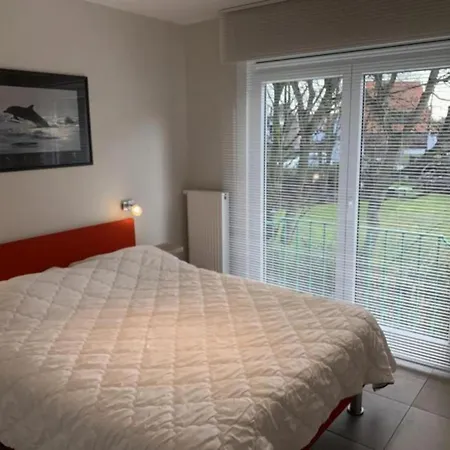 Elisa Delta * ניופורט